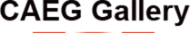 CAEG Gallery